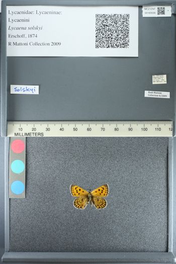 Media type: image;   Entomology 183506